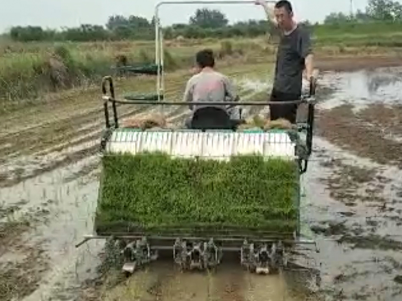 High-speed Rice Transplanter Special Agricultural Equipment 